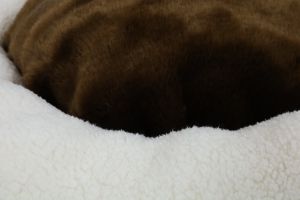 Легло кръгло за кучета и котки, размер M, Екрю/Кафяв